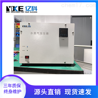 高温水蒸气发生器
