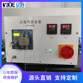 便携水蒸气发生器